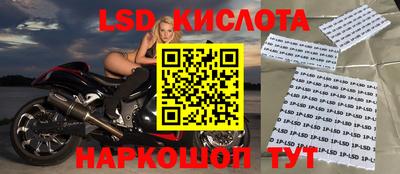 винт Камышлов
