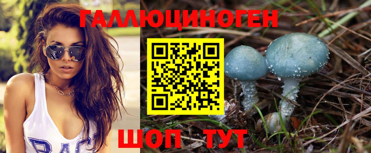 Псилоцибиновые грибы Psilocybine cubensis  Галлюциногенные грибы MAGIC MUSHROOMS  Вход с VPN  Лениногорск 