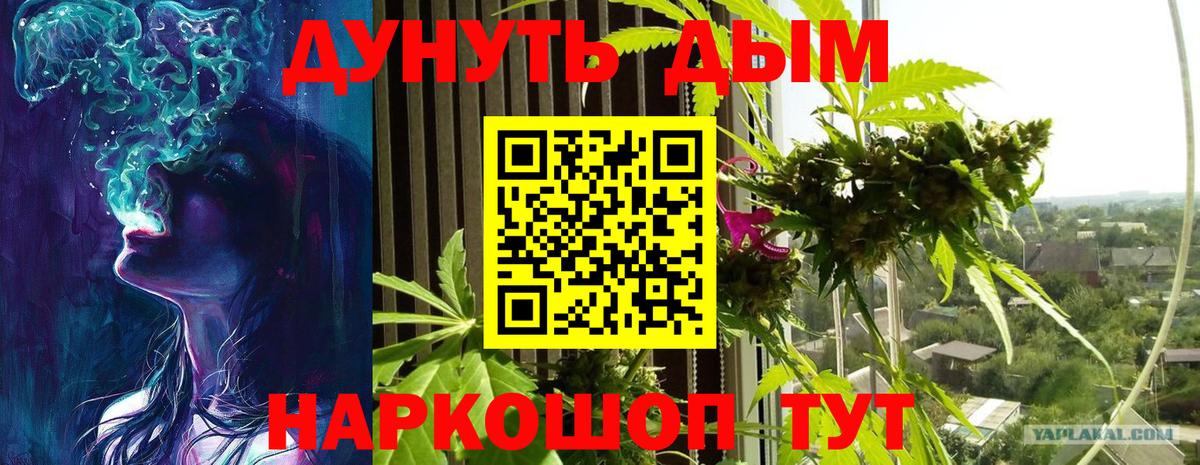 Марихуана индика  Марихуана сатива  МАРИХУАНА ГИДРОПОН  Лениногорск  Вход с VPN  Канабис AK-47 